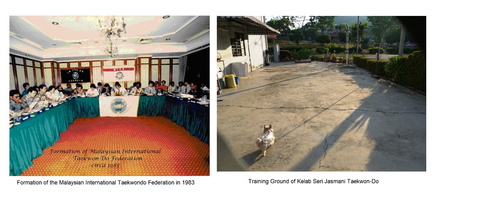 WhatsApp Image 2021-02-08 at 9.18.44 PM