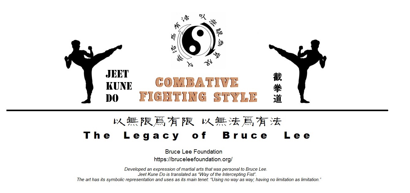 combating fighting style combating fighting style